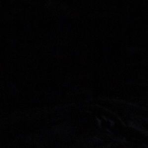 Meet your Posher, Sherry